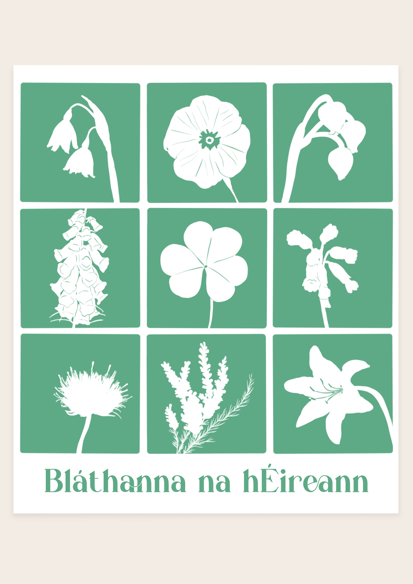 Flowers of Ireland - Bláthanna na hEireann Irish Print