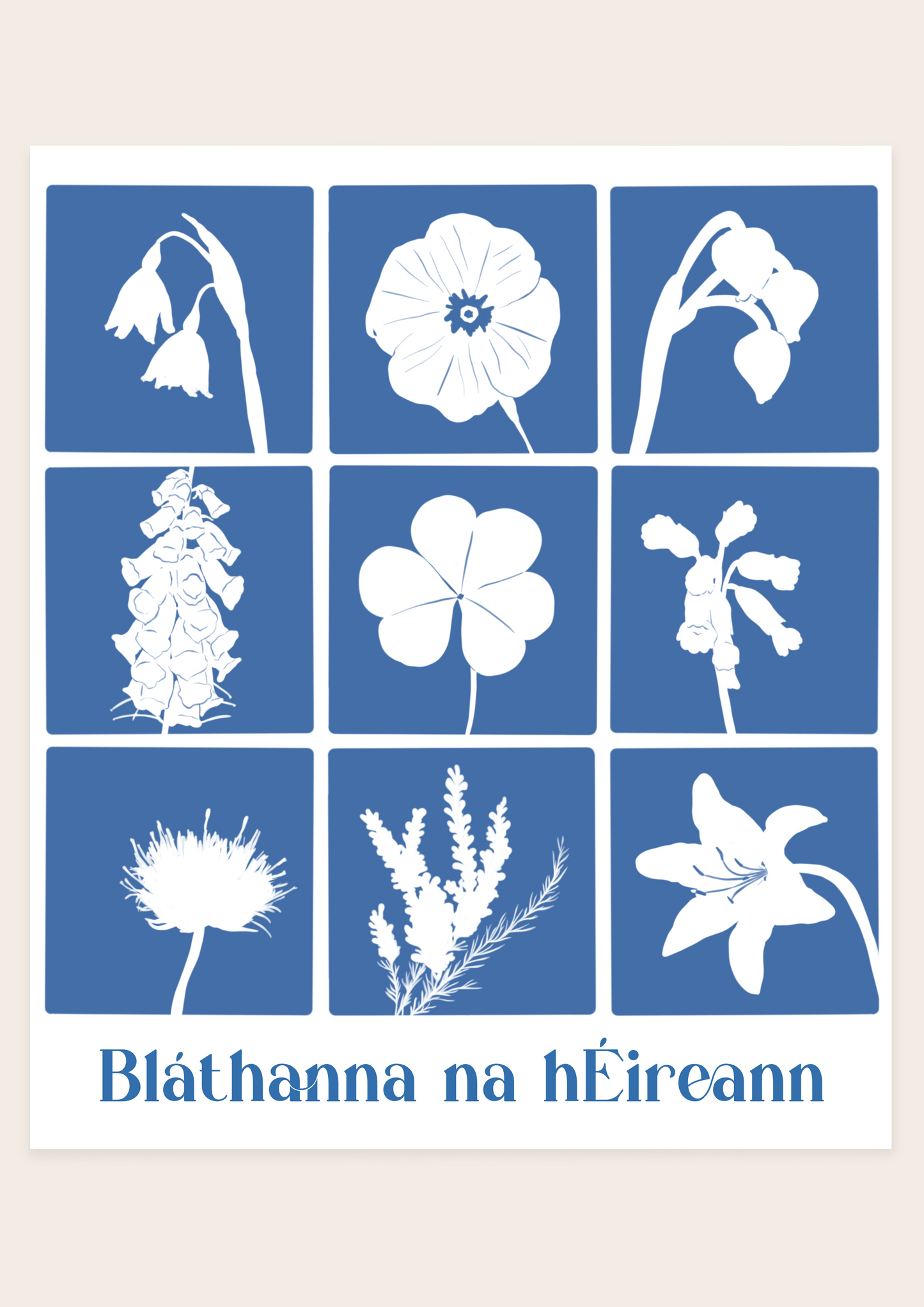 Flowers of Ireland - Bláthanna na hEireann Irish Print
