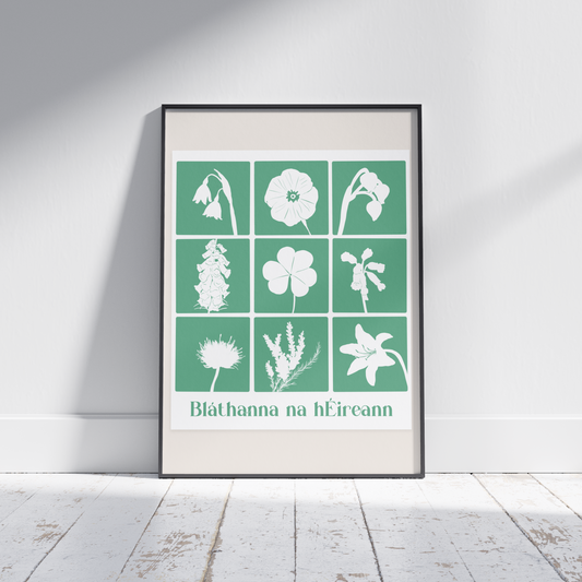Flowers of Ireland - Bláthanna na hEireann Irish Print